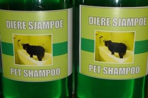 c pet shampoo11