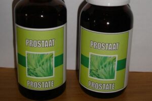 sd 11prostate