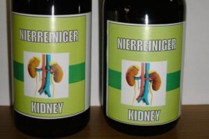 sd 17 kidney