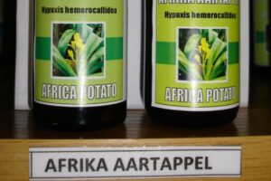 sd 48african potato